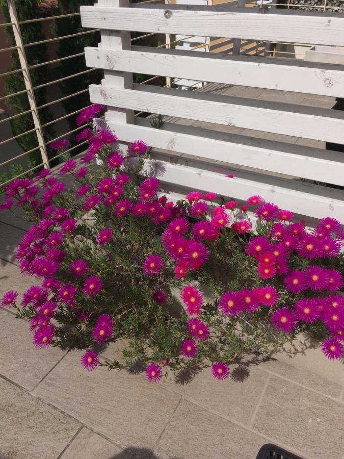 Antonella Gardalake 2 Десенцано дел Гарда Екстериор снимка
